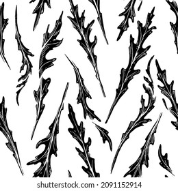 Seamless pattern - arugula collection. Hand drawn outline  illustration of arugula. Arugula leaves for salad. Eco-friendly products. Handwritten graphic technique