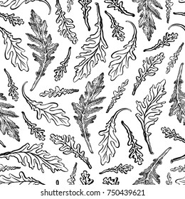 Seamless pattern with aruqula. Hand drawn vector illustration.