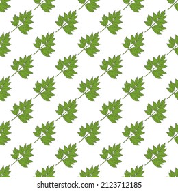 Seamless pattern with ashitaba, angelica keiskei green leaves. Vector illustration