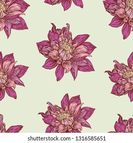 Seamless pattern of aster flowers