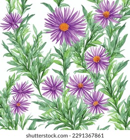Seamless pattern aster flowers watercolor style art illustration on white background