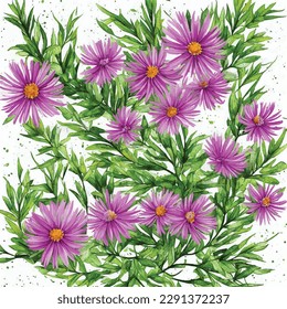 Seamless pattern aster flowers watercolor botanic illustration 