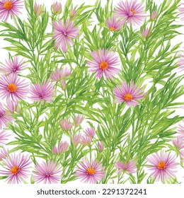 Seamless pattern aster flowers watercolor illustration art with white background