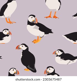 Seamless pattern Atlantic puffin bird. Flat vector illustration. Northern birds pattern.  svg