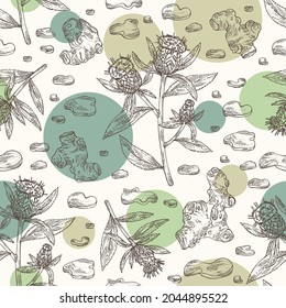 Seamless pattern with atraktylodes large: plant, leaves, atraktylodes large root and atractylodes lancea flowers. Cosmetic and medical plant. Vector hand drawn illustration