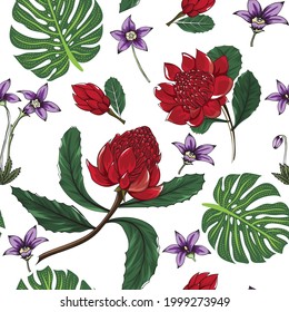 seamless pattern of australia waratah native flowers on white background