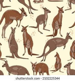 Seamless pattern with Australian big red kangaroo. Osphranter rufus females, males and baby kangaroos in different poses. Realistic vector print