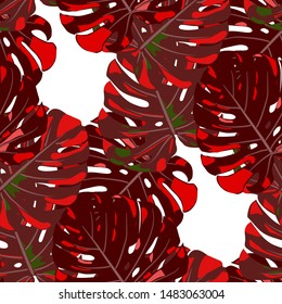 Seamless Pattern with Australian Rainforest. Trendy Colorful Texture with Tropical Leaves for Print, Textile, Underwear. Vector Tropical Pattern.