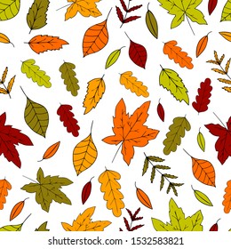 Seamless Pattern. Autumn pattern of colorful leaves on a white background. The colors of autumn. Day of Knowledge. School. Leaves of maple, oak, birch, mountain ash. September October November. Stock 