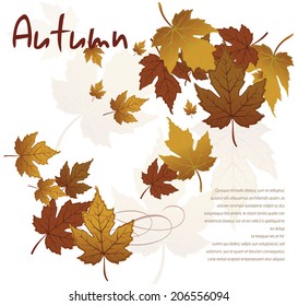 Seamless pattern autumn leafs, isolated on white, vector