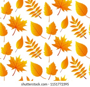 Seamless  pattern with autumn leaves 