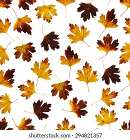 Seamless pattern with autumn leaves