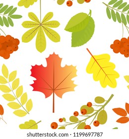 Seamless pattern of autumn leaves and berries. All elements are croppedVector background