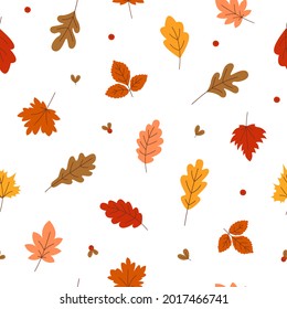 Nahtlose Muster von Herbstblättern und Beeren von Linguonbeeren. bunte mehrfarbige Eiche und Ahornblättern auf weißem Hintergrund. Vektorgrafik. 