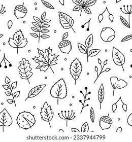 Seamless pattern of Autumn leaves and berries doodle set. Hello Autumn elements: leaves, herbs, chestnut, acorn in sketch style. Hand drawn vector illustration 