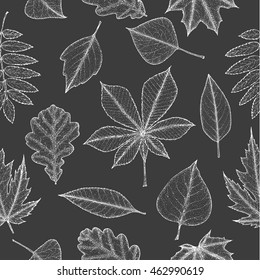 Seamless pattern of autumn leaves. Botanical illustration. Vector