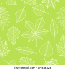 Seamless pattern of autumn leaves. Botanical illustration. Vector