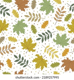 Seamless pattern of autumn leaves . colored leaves of oak, mountain ash and maple. White background. Print for backgrounds, textiles and packaging.