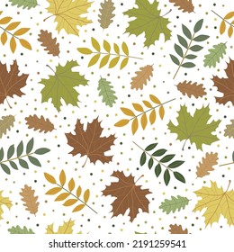 Seamless pattern of autumn leaves . colored leaves of oak, mountain ash and maple. White background. Print for backgrounds, textiles and packaging.