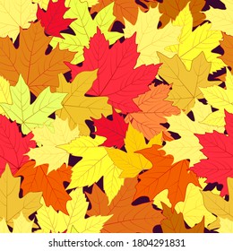 Seamless pattern. Autumn leaves of different types of maple and different shades. Background from autumn leaves.
