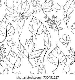 Patrón sin foco con hojas de otoño. Textura sin fin con elementos de contorno en blanco y negro. Fondo blanco.
