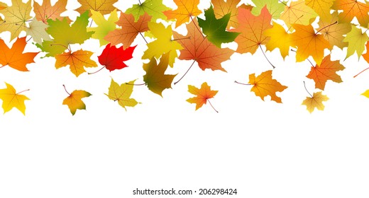 Seamless pattern of autumn leaves, falling down, vector illustration.