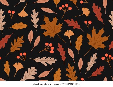 Nahtlose Muster der Herbstblätter. Ginko-Blätter, rote Eiche, weiße Eiche, Ahorn, Elm, Beeren. Konzept des Herbstes, Herbst, Natur, Baumbestand. Farbige Vektorgrafik einzeln auf Schwarz.