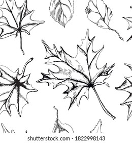 Seamless pattern of autumn leaves in graphic style