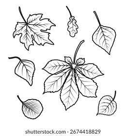 Seamless pattern with autumn leaves in line style on white background. Elegant seasonal repeatdesign for fabric, packaging or wallpaper