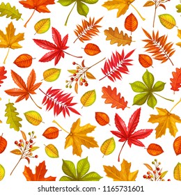 Seamless pattern with autumn leaves maple, oak, elm, chestnut or Japanese maple, rhus typhina and autumn berries. vector illustration.