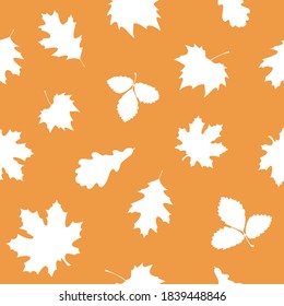 Patrón sin foco con hojas de otoño. Diseño natural. Ánimo de otoño