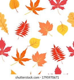Seamless pattern of autumn leaves. Autumn nature pattern on dark blue background. Decorative leaves vector illustration. Cute forest background with trees. Scandinavian style design for texti