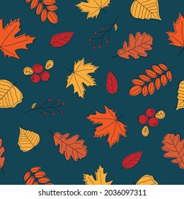 Patrón sin foco de hojas de otoño sobre fondo azul oscuro. Hojas coloridas de arte de línea. Estilo Doodle. Antecedentes naturales, ecológicos y de diseño otoñal. Ilustración del vector