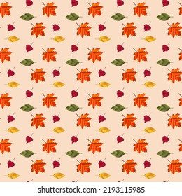 Seamless pattern with autumn leaves on a light background. Suitable for wallpaper, gift paper, pattern fill, web page background, autumn greeting cards. Vector illustration