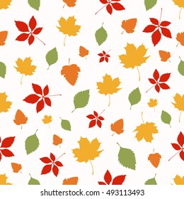 Seamless pattern of autumn leaves on white background