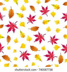 Seamless pattern of autumn leaves on white background. Vector repetition backdrop.