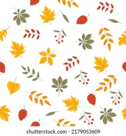 Seamless pattern with autumn leaves. Perfect for wallpaper, gift paper, pattern fills, web page background, autumn greeting cards. Vector illustration.
