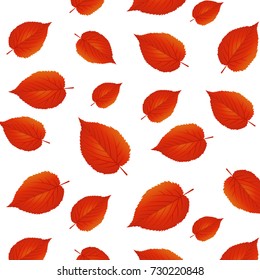 Seamless pattern of autumn leaves. Red leaf. Season banner. Nature background. Vector design illustration.