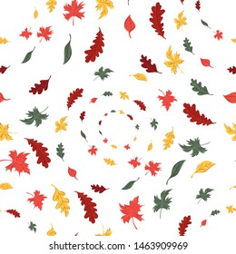 seamless pattern of autumn leaves of trees and oak and maple