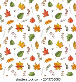 Seamless pattern with autumn leaves and twigs. Maple, oak, chestnut, aspen, birch.Backdrop with colored doodle elements. Bright colorful vector pattern isolated on a white background.
