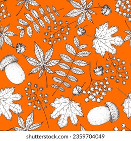 Seamless pattern with autumn leaves, twigs, mushroom, acorn. Autumn background. Hand drawn vector illustration. Hand drawn sketch.