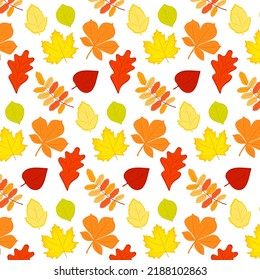 Seamless pattern of autumn leaves. Various leaves on a white background. Vector illustration.