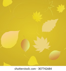 Seamless pattern of autumn leaves. Various veined leaves on white background.