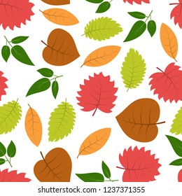 Seamless pattern with autumn leaves. Vector illustration.
