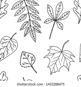 Seamless pattern of autumn leaves. Vector cartoon background. Hand-drawn style.