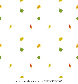 Seamless pattern with autumn leaves. Vector illustration.