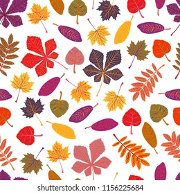 Seamless pattern Autumn leaves yellow foliage vector. Season of orange leaves, illustration collection of october leaves. On White Background