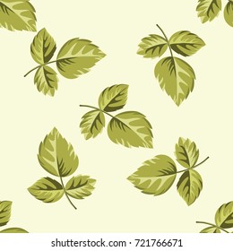 Seamless pattern of autumn leaves.Colorful background. Fall leaf. Vector illustration