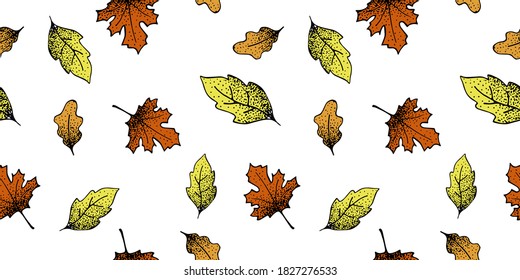 Patrón transparente de hojas otoñales.Ilustración vectorial.