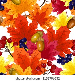Seamless pattern of autumn maple leaves decoration with acorns and colorful berry branches on a white background. Vector illustration.